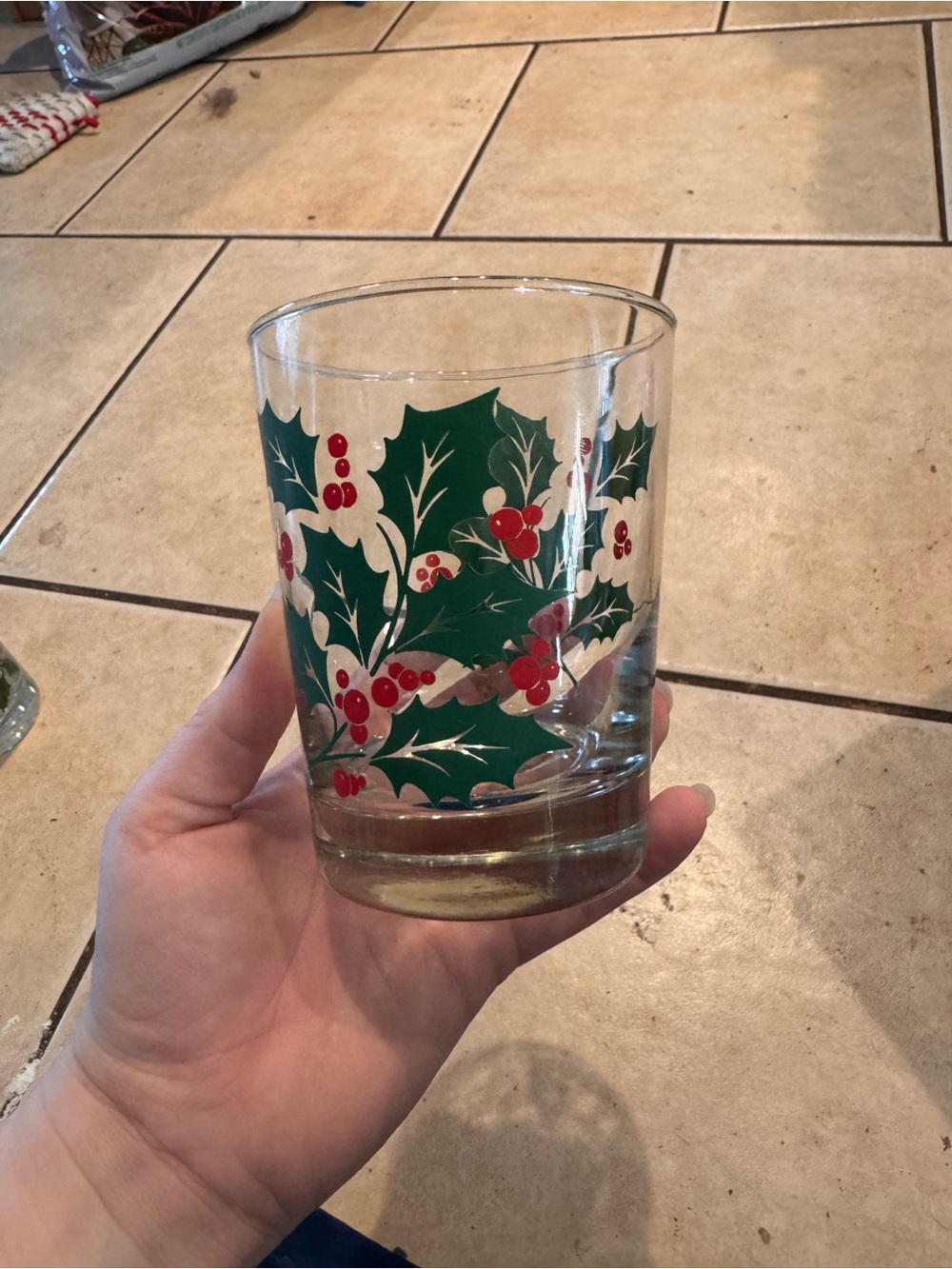 Holly Glass Tumbler in Green & Red
